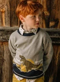 Pull à Motif Dinosaure Gris